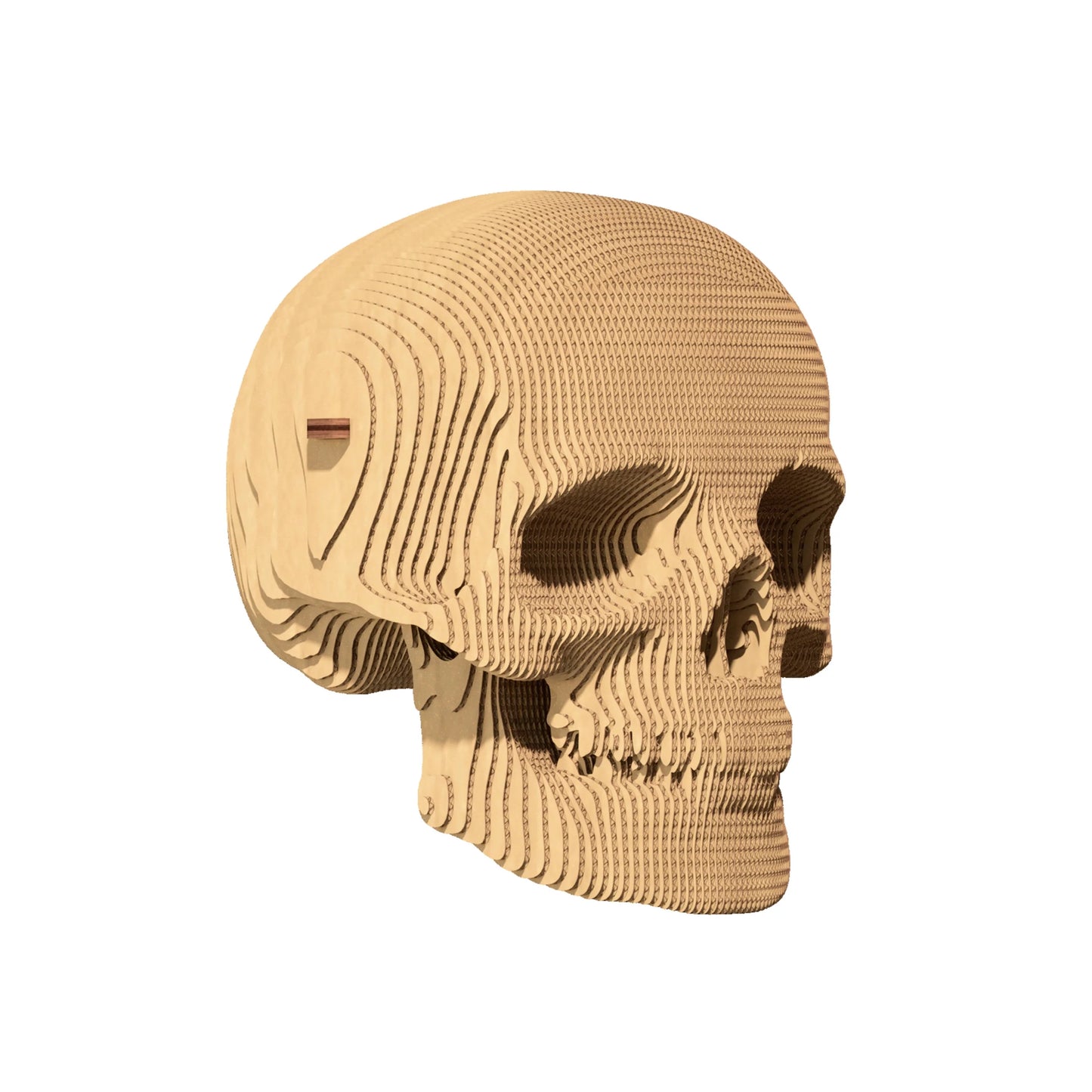 Puzzle Cartonic skull