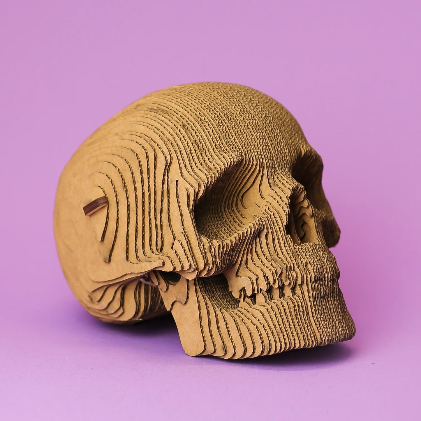 Puzzle Cartonic skull