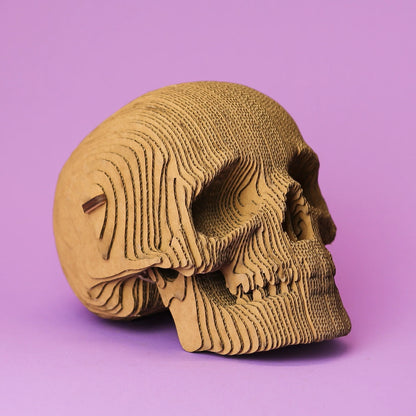 Puzzle Cartonic skull