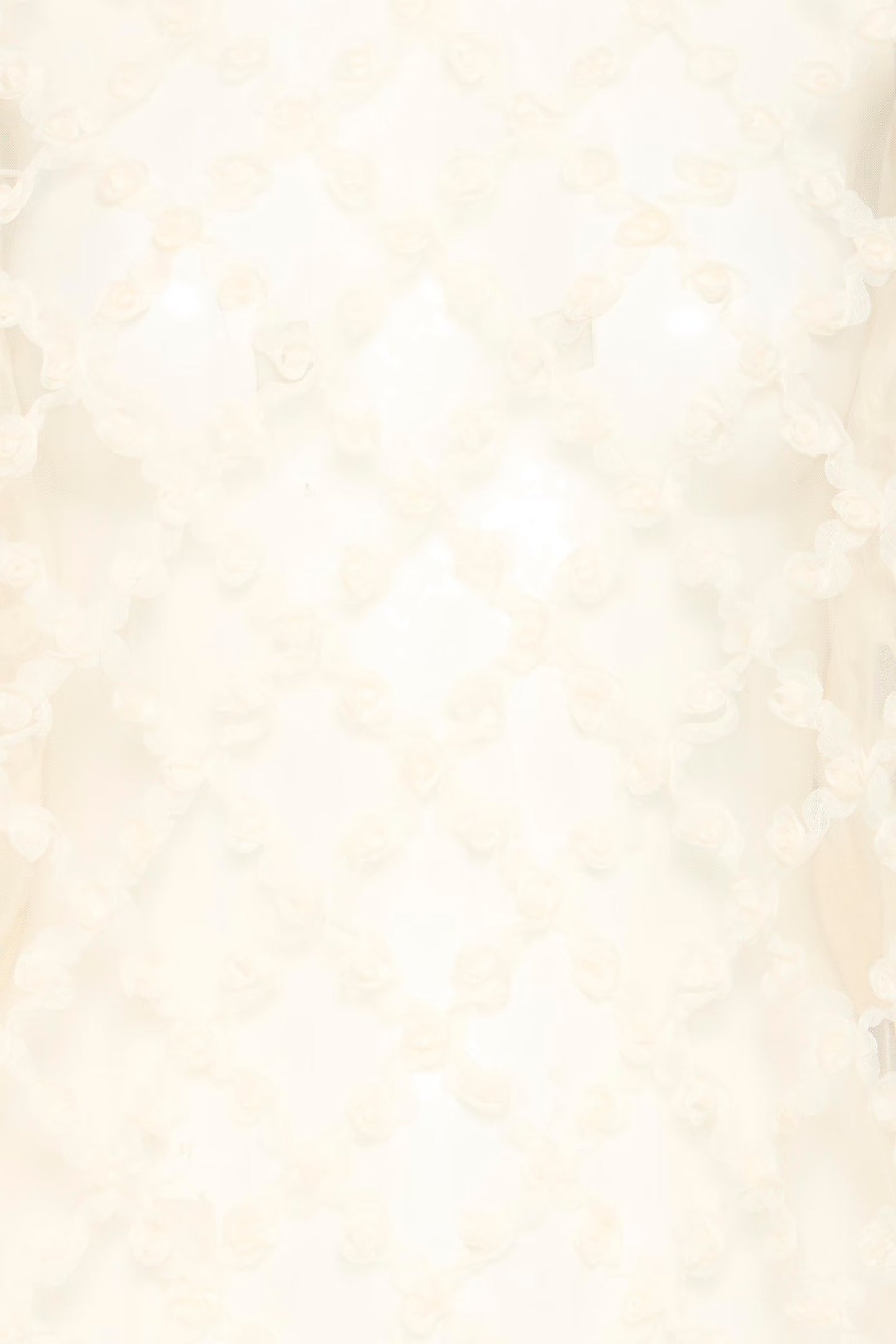 Blouse transparente elki