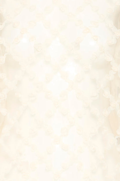 Blouse transparente elki