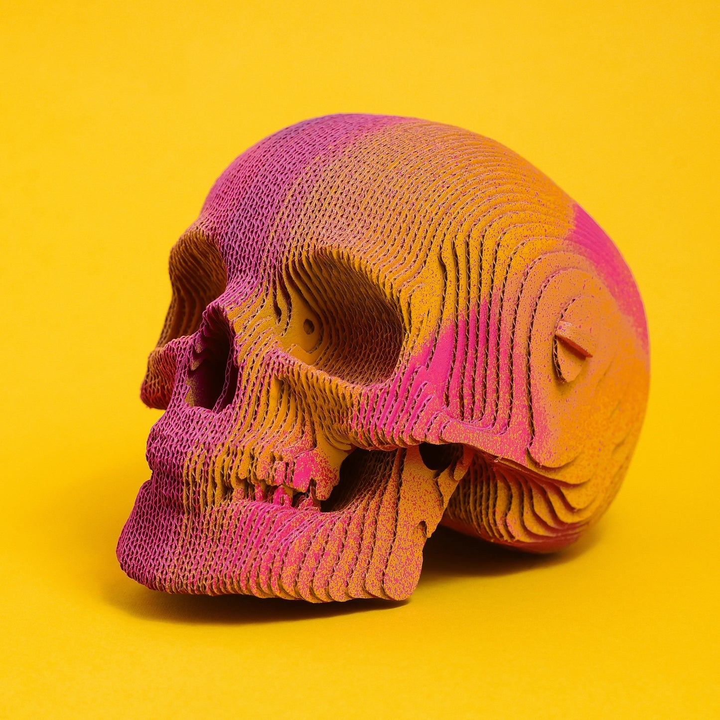 Puzzle Cartonic skull