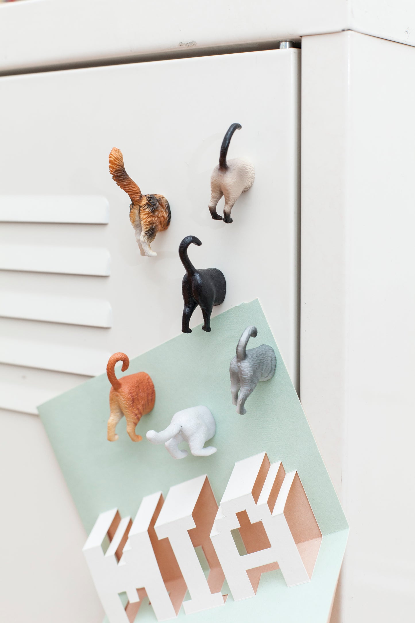 Pack x6 magnets cat butts