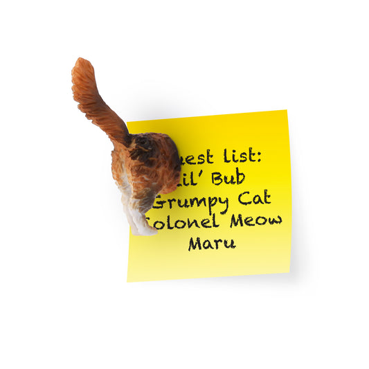 Pack x6 magnets cat butts