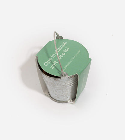 Trèfle à 4 feuilles à faire pousse