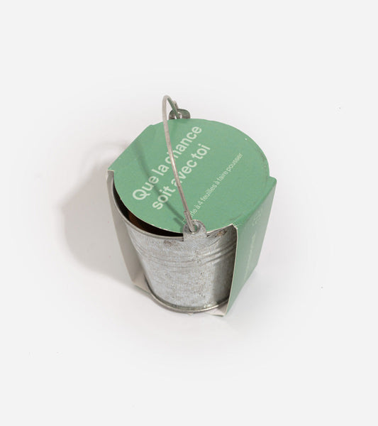 Trèfle à 4 feuilles à faire pousse